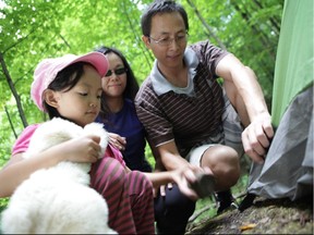 New Canadians learn the ropes during an Ontario Parks 'learn to camp' program at Murphys Point Provincial Park near Perth in 2013.