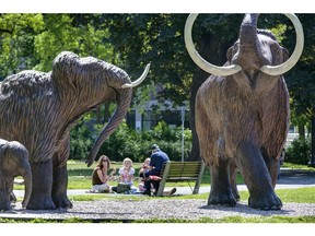 The Museum mammoths are on the move.