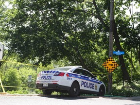 Police closed pathways in the Strathcona Park area as part of their search for a man they say tried to run down officers.