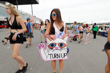 We believe the correct term is "turnt up," Grumpy Cat.