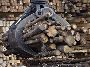 Workers pile logs at a softwood lumber sawmill  in Saguenay, Que.