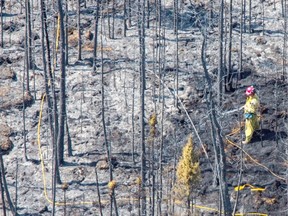 Firefighters extinguish hot spots in a wildfire east of Slave Lake on May 27, 2015.