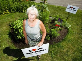 Marymay Downing stands amidst her gardens on Shillington Avenue, that she says will be ruined by a proposed Canada Post mail 'superbox.'