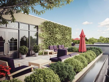 An outdoor rooftop terrace will be open to all owners.