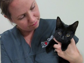 A Humane Society worker holds Hope the kitten found in a garbage bag