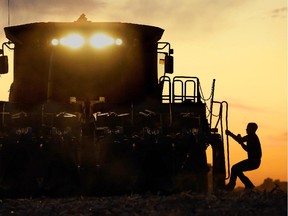 A corn farmer is silhouetted by the setting sun.