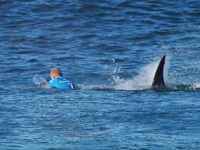 This handout screengrab made and released on July 19, 2015 by the Worl Surf League (WSL) shows Australian surfer Mick Fanning being attacked by a shark during the Final of the JBay surf Open on Sunday July 19, 2015 in Jeffreys Bay. Mick Fanning, 34, was competing in the final heat of a world tour event at Jeffreys Bay in the country's Eastern Cape province when a looming black fin appeared in the water behind him. He fought back against the shark, escaping from the terrifying scene without injury.