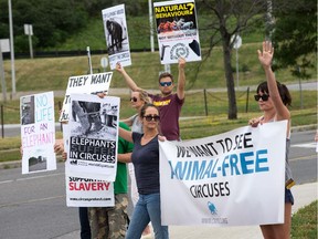 About 30 activists from the Ottawa Animal Defense League protested against what they say is cruelty taking place within the Shrine Circus.