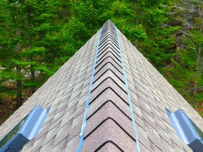 The silver-grey strips on each side of this roof ridge are made of zinc. Small amounts of this non-toxic metal dissolve in rain and wash down the roof, reducing or eliminating moss and lichen growth.
