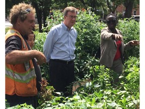 Residents who grow tomatoes, lettuce, peppers, potatoes and more at the community garden at McNabb Park showed off their crops to Mayor Jim Watson Thursday.