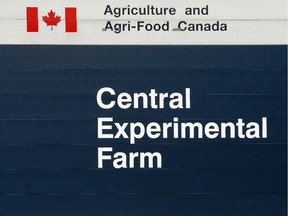 OTTAWA ONT., APRIL 1, 2013--STOCK PIX FOR FILES--Central Experimental Farm (Pat McGrath/Ottawa Citizen) CITY standalone  ASSIGNMENT #112495 SAXO--NOT ENTERED VIDEO--NO