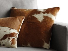 Home decorating has taken a wild turn with an increase in cowhides on pillows, rugs and furniture,