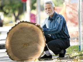 Urban forest advocate Daniel Buckle with a section of the downed walnut on Daniel Street.