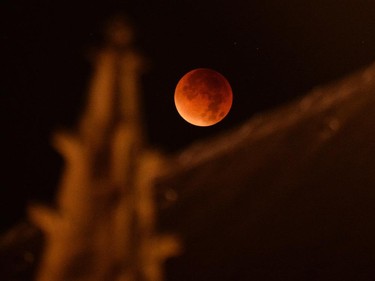 A swollen "supermoon" is seen bathed in the blood-red light during the stages of a total eclipse above Saint-Michel church in Bordeaux, southwestern France, early on September 28, 2015. Stargazers were treated to a rare astronomical event when a swollen "supermoon" and lunar eclipse combined for the first time in decades, showing the planet bathed in blood-red light.