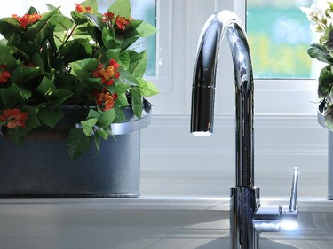 A bonus in the Serenade kitchen is the window over the sink, with a deep sill perfect for growing herbs.