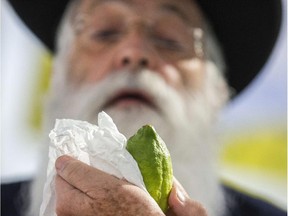 An ultra-Orthodox Jewish man inspects a citron (or "Etrog" in Hebrew), one of four plant species to be used during the celebration of Sukkot, the feast of the Tabernacles, in the Israeli Mediterranean coastal city of Netanya on September 25, 2015. The Sukkot feast, which starts on September 27, is a week-long holiday when people eat and sleep in makeshift booths in their gardens and commemorates the exodus of Jews from Egypt some 3200 years ago.