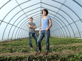 Leela Ramachandran and her partner, Bradley Wright, run Bluegrass Farm in Jasper. It is the only farm in the region using greenhouses with heated floors to grow organic vegetables through the winter and one of just a handful offering winter Community Shared Agriculture (CSA) baskets.
