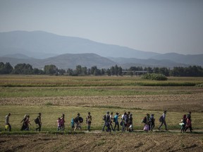 Hundreds of mostly Syrian families walk the final few kilometers through fields towards the Macedonian border to have their papers processed before crossing on September 2, 2015 in Idomeni Greece. Several thousand migrant people are expected to arrive at the border today hoping to head North through Macedonia, after arriving in Athens in the previous few days. Since the beginning of 2015 the number of migrants using the so-called 'Balkans route' has exploded with migrants arriving in Greece from Turkey and then travelling on through Macedonia and Serbia before entering the EU via Hungary. The number of people leaving their homes in war torn countries such as Syria, marks the largest migration of people since World War II.