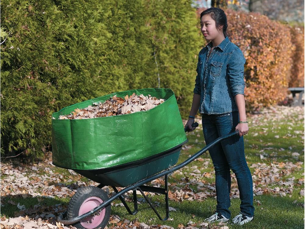 Mark's store choice wheelbarrow