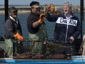 Conservative leader Stephen Harper holds up a lobster as he fishes for votes in the waters off Borden-Carleton, P.E.I., on Thursday, September 10, 2015.
