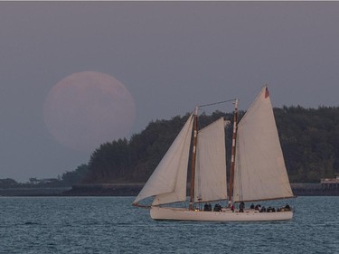 The Super Blood Moon rises over a sailboat in Boston Harbor on September 27, 2015 in Boston, Massachusetts. The Super Moon coincides with a total lunar eclipse, a rare combination that last occured in 1982.