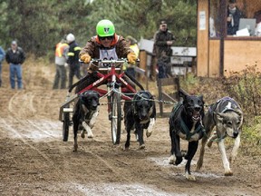 The world championship of dryland dog racing coming to Bristol, QC.