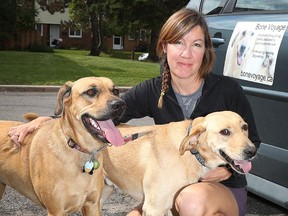 Christine Thomson is one of about 235 registered drivers belonging to Freedom Drivers: Animal Rescue Transports.