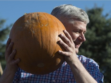 Conservative Leader Stephen Harper holds up a pumpkin at a pumpkin patch in Richmond Hill, Ont., on Sunday, October 11, 2015.