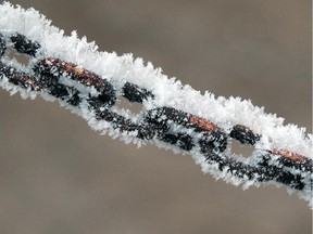 Frosty chain