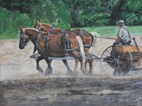 Horse-drawn Seed Drilling by Catherine Orfald, one of the artists in the Perth Autumn Studio Tour.