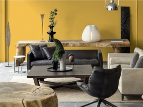 Yellow-gold is the ‘it' colour of the year, according to Sico. Shown is the paint maker’s Buckwheat Yellow (6113-54).