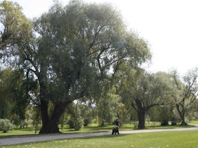 The Arboretum at the Central Experimental Farm.