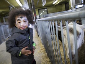 Two-year-old Jeremiah Glasgow checks out the animals during the Barnyard Halloween at the Canada Agriculture and Food Museum on Saturday, Oct. 31, 2015.