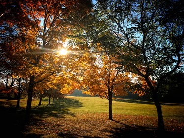 The sun rises on the grounds of the Governor General's residence before the swearing-in ceremony of Justin Trudeau, Canada's 23rd prime minister, along with his new cabinet members. (Darren Brown/Ottawa Citizen)