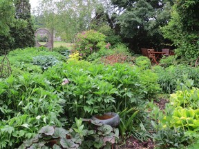 An organic garden is healthy and sustainable.