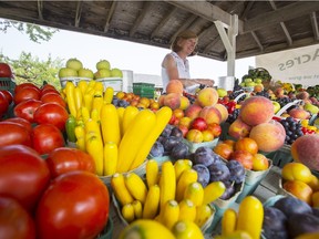 A conference heard over 75,000 Ottawa residents lack the means to access nutritional food.