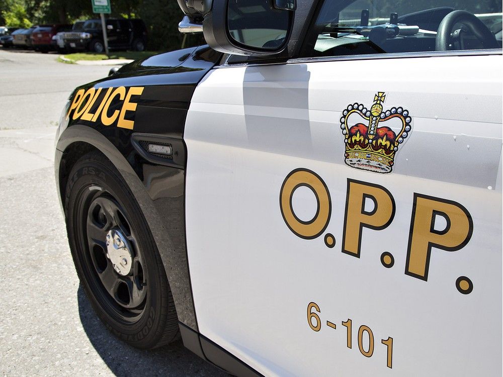 Man seen brandishing power tool arrested for dangerous driving | Ottawa ...