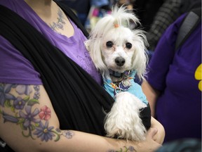 Day 1 of the Ottawa Pet Expo took place at the EY Centre on Saturday, Nov. 15, 2015.