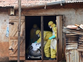 A photo taken on November 12, 2014 shows health workers from Sierra Leone's Red Cross Society Burial Team 7 preparing to carry a corpse out of a house in Freetown. The UN health agency said on November 7, 2015 Ebola-ravaged Sierra Leone had beaten an 18-month outbreak that killed almost 4,000 of its people and plunged the economy into severe recession.