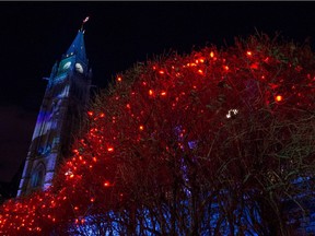 The Peace Tower on Parliament Hill is seen alongside bushes illuminated with Christmas lights during the launch of Christmas Lights Across Canada in Ottawa on Wednesday, Dec. 3, 2014.