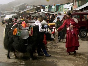 Fluent in Tibetan, Oliver Boldizar supported himself for a time as a translator but never abandoned his search for enlightenment and his rejection of materialism. Boldizar was found dead in India a day before his 38th birthday.