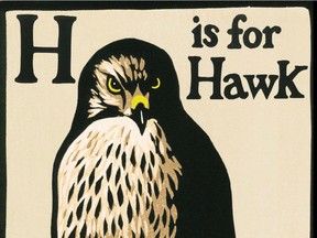 H is for Hawk, by Helen Macdonald