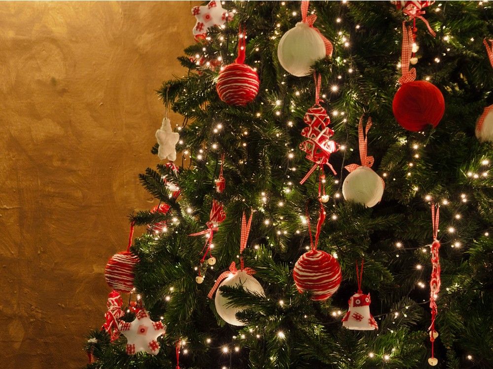 Comparing the real costs of fresh and fake Christmas trees Ottawa Citizen