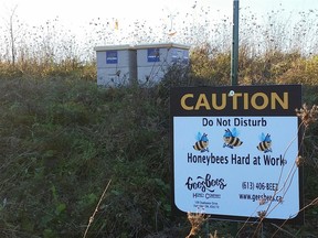 Marianne Gee's bee hives were stolen from Minto property near its Arcadia development in Kanata some time before Dec. 24.