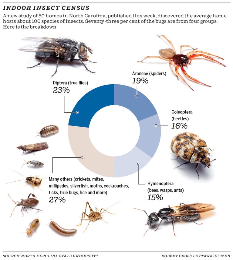 Plain-talking scientific paper says 100 types of bugs likely share your ...