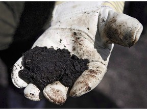 An oil worker holds raw oilsands near Fort McMurray, Alta.