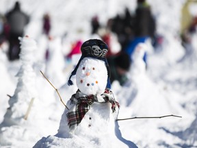 There should once again be a sea of snowmen at Lansdowne Park on Sunday, Jan. 31.