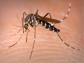Canada’s public health agency is reporting the country’s first baby with "severe neurological congenital anomalies” resulting from the Zika virus.