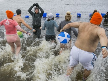 Nearly 100 people took part in the The Sears Great Canadian Chill also known as the "Polar Bear Dip" at Britannia Beach, January 1, 2016.