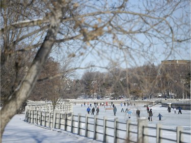 Skaters enjoy the opening day of the Rideau Canal Skateway on Saturday, Jan. 23, 2016.